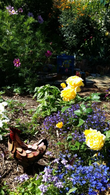 georges-garden-dec-2016